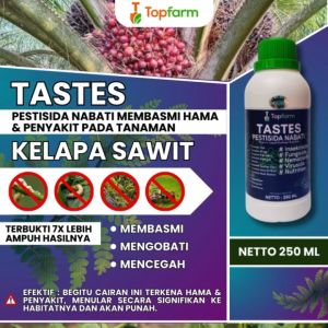 Obat Kumbang Tanduk Kelapa Sawit / Obat Pembasmi Hama Kelapa Sawit / Obat Kuning Daun Kelapa Sawit / Obat Mati Pucuk Kelapa Sawit / Obat Daun Sawit