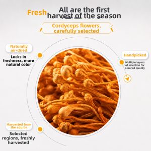 WENXIANGZAN | High-quality Wild Dried Cordyceps Flower No Sulfur Processing