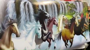 A4 นิ้ว กลิ่น 229mm × 346mm สีสวยสด คมชัด กันน้ำ100% สีไม่ซีดจาง ราคาบริการ 1 ผู้ที่มีความรู้