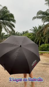 Chery Umbrella Big Umbrella UV Automatic Golf Umbrella Auto Open Close One Handed Umbrella Windproof