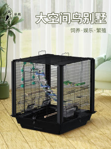 Bird Cage Parrot Cage Weft Threads Bird Cage Tiger Skin Xuanfeng House For Home Cage Large Large Bird Cage Breeding Ornamental Cage