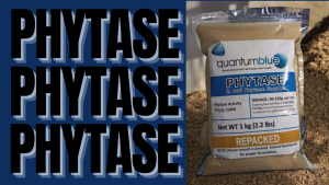 QUANTUM BLUE - PHYTASE ENZYME FEED PREMIX (500 GRAMS REPACKED)