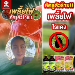 ไทอะมีทอกแซม ขนาด 1000 กรัม ยากำจัดศัตรูพืช ยาฆ่าเพลี้ย แมลงหวี่ขาว ควบคุมแมลงได้หลายชนิด