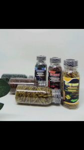 Kemasan botol Maggot BLUE/YELLOW/RED