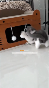 ที่ลับเล็บแมว ที่ฝนเล็บแมว ขนาด ใหญ่ บ้านแมว บ้านแมวกระดาษ ที่นอนแมว คอนโดแมว บ้านลับเล็บแมว กล่องแมว แมว ของเล่นแมว🐱