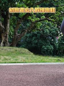 ONEMIX | Lightweight Shock Absorption Jump Rope Fitness Shoes