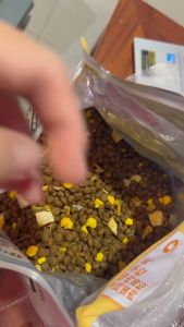 Thức ăn hạt DONGPET cho chó BICHON mix 4 loại thịt sấy đông khô túi 25kg