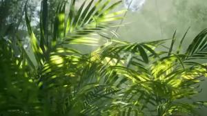 เตียงพิลาทีส เครื่อง pilates พับแบบพกพา อุปกรณ์ เครื่องออกกำลังกายโยคะพิลาทิส เครื่อง ออกกำลังกาย