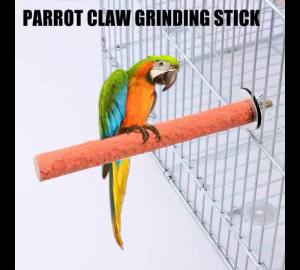 New High-end 1pc Bird Perch Stand Wooden Rough Birds Paw Grinding Perch Standing Parrot Toy Pet Supplies Random Color Tool