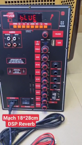 Mạch Loa kéo DSP Reverb 18x28cm