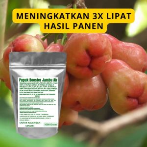 Pupuk Booster Jambu Air Pelebat Organik Cepat Berbuah Lebat Besar Anti Rontok Pembesar Jambu Air