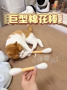 Catnip Felt Toy for Cats larger Cotton Stick Catnip-scented Soft and Non-toxic Biting Playing