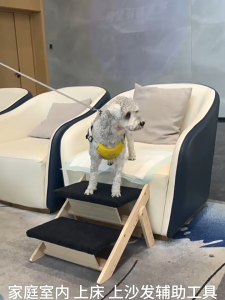 Pet Staircase Steps Can Assist Pets In Getting On The Bed Ramp Folding And Storage Stairs For Elderly Dogs