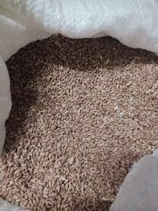 TRIGO WHOLE WHEAT( BULGUR ) 1kg