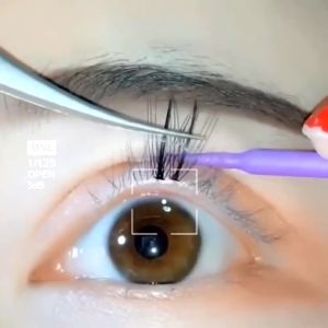 60 Clusters D Curl Volume Eyelashes: A Comprehensive Guide