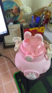 Bình Đựng Nước Hình Thỏ Cà Rốt Cute Đáng Yêu Kèm Dây Đeo