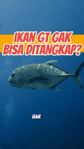 JORAN PANCING SHIKARI CENTAUR SOLID CARBON JORAN PANCING CASTING 15 17 20 LB PANJANG 180 LB