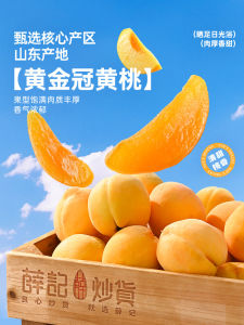 Xue Ji Roasted Snacks สต็อกออฟฟิศ ขนมแห้ง ผลไม้สดสด ว่าง ช่วงฤดูร้อน ความหวานที่สมดุล เครื่องดื่มอัดลม บรรจุภัณฑ์แบบซิป ขนมปังแห้ง ผลไม้แห้ง