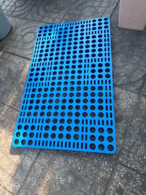 Pallet màu xanh 60x100cm