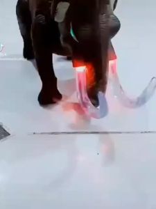 Mainan Gajah Mamooth Bersuara Dan Ada Lampu 11121 | Mainan Edukatif Hewan Gajah Ukuran Besar Bisa Berjalan Menggunakan Baterai | Mainan Anak Murah Meriah Ada Lampu Warna Warni Bisa Berjalan Cocok Untuk anak Cowok dan Cewek