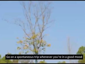 Double Eye Wind 4 Meters Rope Buckle Outdoor Camping Guyline djuster Stopper Pengikat Tali