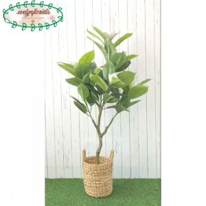 Pohon Artificial Daun Magnolia & Dekorasi Ruangan Cafe