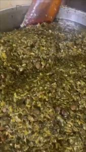 橄榄菜กาน่าฉาย500gกาน่าฉ่าย เห็ดหอม มีรสหวาน เค็ม มันๆ กินกับข้าวต้มข้าวสวยก็อร่อย