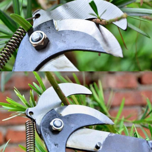 Naukaha【Ready in Stock】High Altitude Pruning Shears Garden Pick Fruit Tool Tree Trimmer Branches Cutter