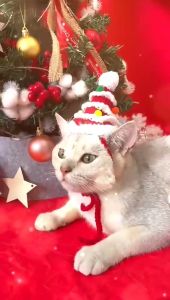 Pet Christmas Cute Star Ball Hat Kitten Cat Knitted Wool Dog Clothes Gift