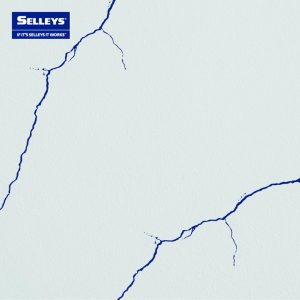 SELLEYS Wall Putty Tube & Tub (250g & 500g) – Anti Mould Filler for Wall Repairs / Cracks