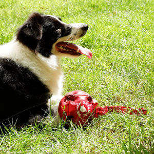 Durable Leather Football Toy with Rope for Dog Training Chew Resistant Pet Toy Suitable for German Shepherd Rottweiler Golden Retriever Corgi