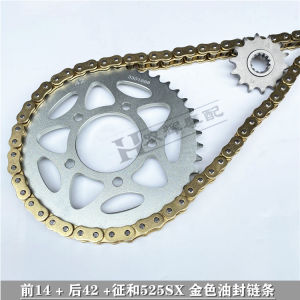 Zhihe 525 Chain Set for Benelli Golden Phoenix 502/TRK502X Young Lion 500 Front And Rear Sprocket Oil Seal Motorcycle Chain