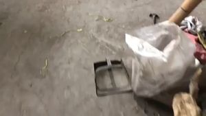 Stainless Steel Swivel Pulley Set: A Comprehensive Guide