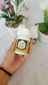 Pupuk anggrek cepat berbunga - Booster spesial anggrek