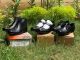 Nema shoes