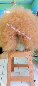Wig Kuda Kepang Super Jumbo Warna Coklat Muda Sudah Sasak