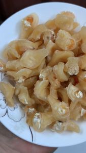 Bào Ngư Khô Việt Nam - Đặc Sản Nha Trang 100g