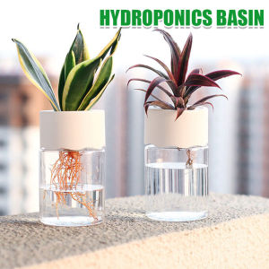 Mini Transparent Hydroponic Flower Pot Imitation Glass Soilless Planting Flower Pot Green Plant Pot Home Office Desk Green Decoration