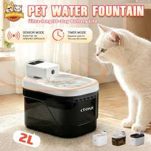 2L Cat Dog Water Fountain With Motion Sensor Safe Pet Water Dispenser With Loop Filter Mute Pump