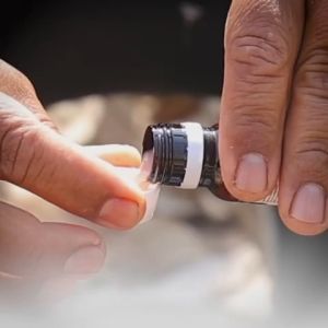 | ชื่อของสินค้า | โดส CO2(สูตรทา) | ฿ | ยางพารา นวัตกรรมปูยอากาศ เซตเพิ่มผลผลิต X5 เท่าไหลเร็ว ไหลนาน ออกสมำ่เสมอ น้ำยางขาวข้นต้นสมบูรณ์ไม่โทรม หน้ายางใสเสริมเปลือกไว |