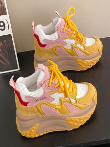 European Goods Dad Shoes Womens 2024 Summer New Arrival Lightweight Breathable Mesh Sneaker 10cm Thick Sole Hidden Heel Womens Shoes