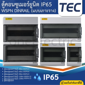 TEC WSPN ตู้พลาสติกกันน้ำ IP65 Consumer คอนซูมเมอร์ ตู้กันน้ำ ตู้คอนซูมเมอร์กันน้ำ 4ช่อง 6ช่อง 9ช่อง 12ช่อง 18ช่อง
