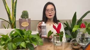 💗🙋♀️💗HILUU植物营养液批发四季绿植盆栽花卉果蔬苗木专用水培肥料