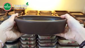 Pot Bonsai Keramik Oval - tulis