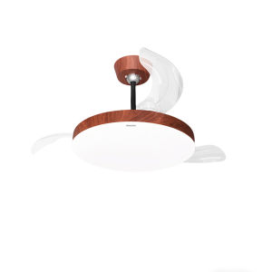 Philips | Leafless Eye-Protective Full Spectrum Fan Ceiling Light