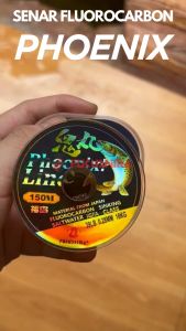 Senar Pancing 150 Meter Warna Kuning Emas Galatama Fluorocarbon Fukushima Phoenix/ Senar Anti Keriting Saltwater Fast Sinking Fluorocarbon Composite