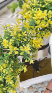 NATURAL Deodorant Tawas Spray 1 LITER non Alkohol - Nature Alum Penghilang bau ketiak alami termurah