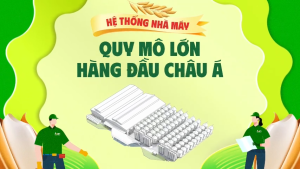 Combo 2 túi Gạo Japonica Aan túi 5kg - bao bì mới - Chính hãng Gạo sạch Aan