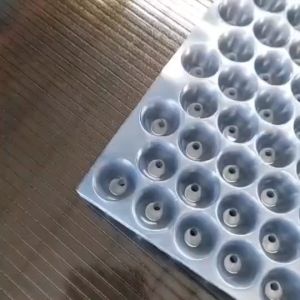 ถาดเพาะกล้านาโยน ถาดเพาะต้นกล้า ถาดเพาะกล้า 434หลุม เกรดA