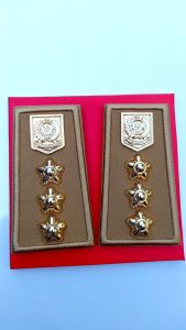 PANGKAT Pdh CAMAT KHAKI LOGO KEMENDAGRI TERBARU